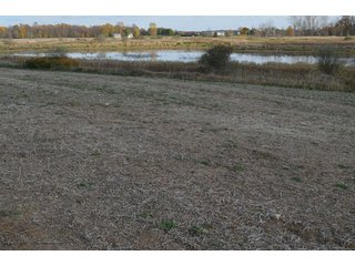 Property photo 68 - 127 Acres Offered in 8 Tracts - Allen & Dekalb County Land